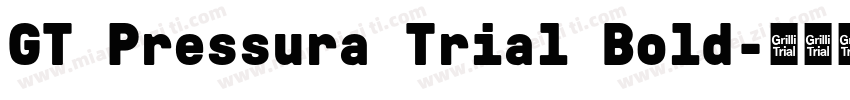 GT Pressura Trial Bold字体转换